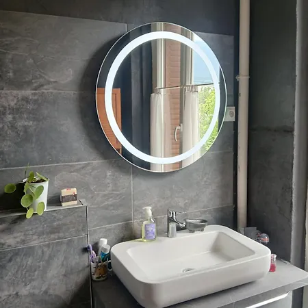 Apartment Cocon Cosy Aix-les-Bains